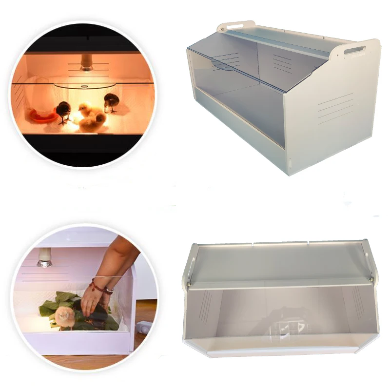 Новинка куриный инкубатор брошь маленького размера для перепелов ползания