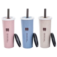 creative straw cup colorful double layer plastic frosted water cup coffee juice straw mug simple cute portable cup with straw