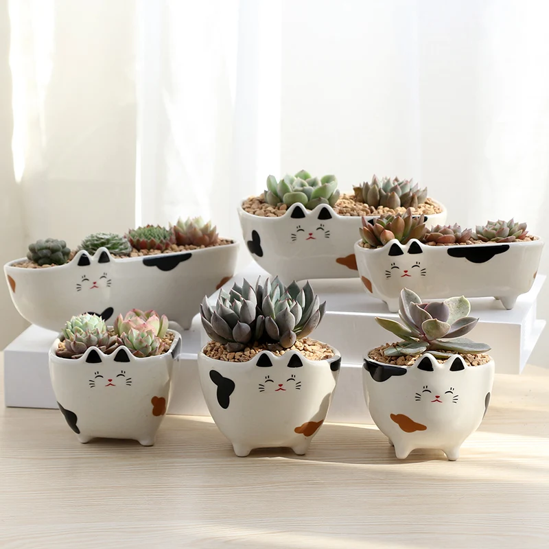 Корейский мультфильм кошка мульти-мясо маленький цветочный горшок Ретро дышащая