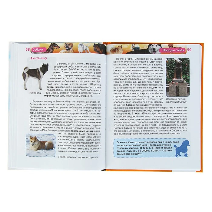 Детская энциклопедия РОСМЭН Собаки 1024773 |