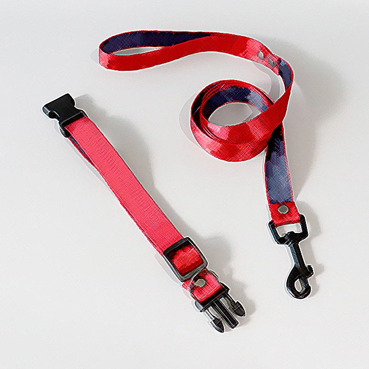 

2 PC Design Dog Collar Luxury Pet Leash fashion cat collar Pet accessories CW964