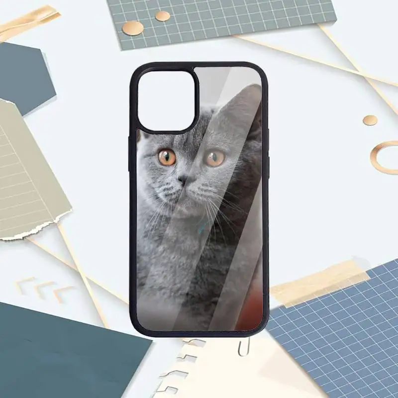 

British shorthair cat Phone Case PC for iPhone 11 12 pro XS MAX 8 7 6 6S Plus X 5S SE 2020 XR