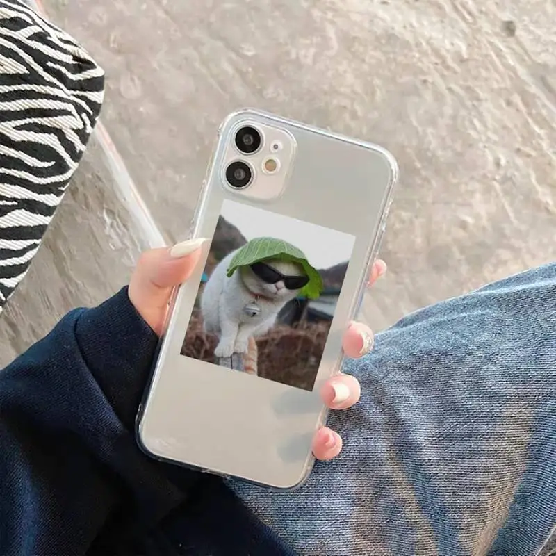 

Cute Cats New Year Gifts Phone Case For iphone 12 11 8 7 6s 6 5 5s 5c se plus mini x xs xr pro max Transparent soft