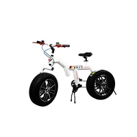 Bicycle Snow Bike Adult Men and Women Fat Tire Mountain Cross Country Muscle Thick Wide Tire Speed Student Double Disc Brakes