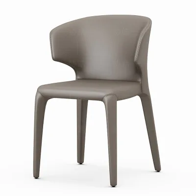 

New dinning chair Furniture Modern Design Luxury plastict dining for dining Room restaurant