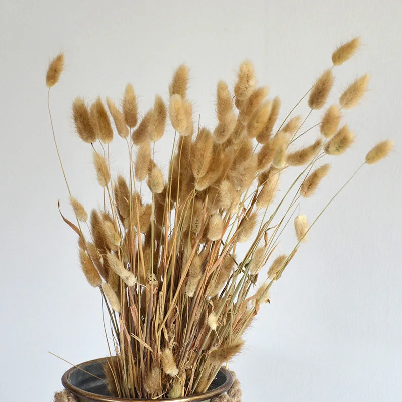 

Hot 50 Pcs Dried Flower Grass Decoration Photography Props For Home Store Wedding Home Decor Flores Artificiales