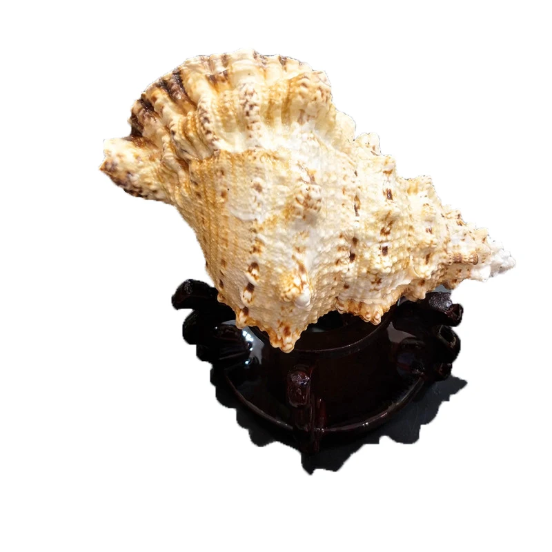 Большой корпус из натурального камня лягушки украшение для дома озеленение