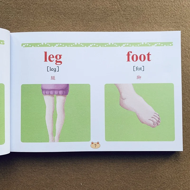 Развивающая настольная игра головоломка для детей Обучающая книга на английском