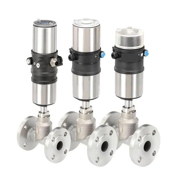 

SS Globe Valve System for Steam and Gas