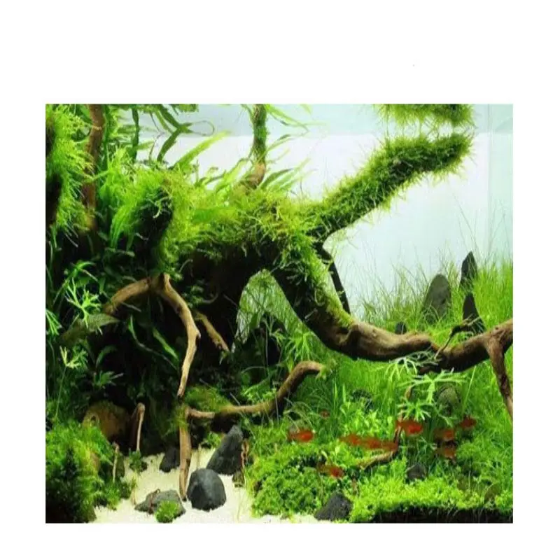 Натуральный ствол дерева Driftwood аквариум украшение для аквариума рептилий