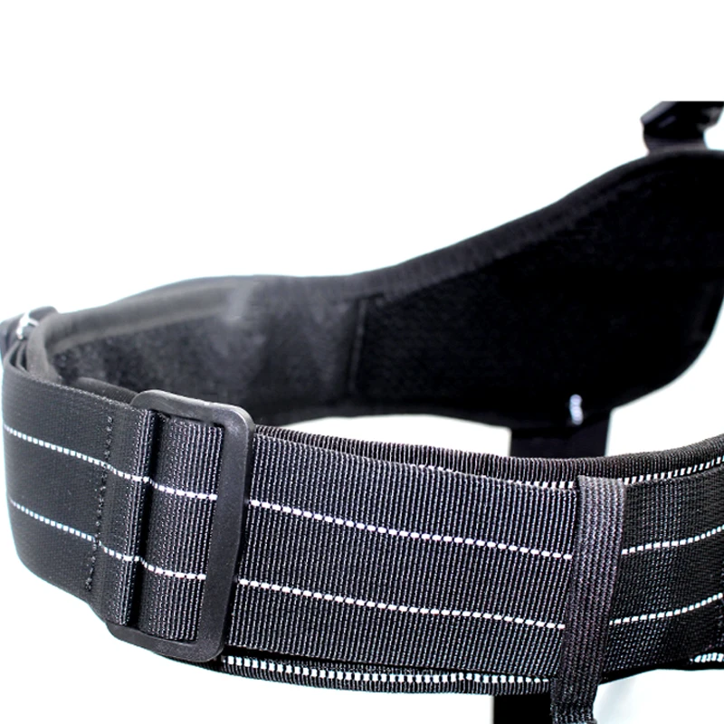 FML домашнее животное упряжь персонализированная собачья для больших собак