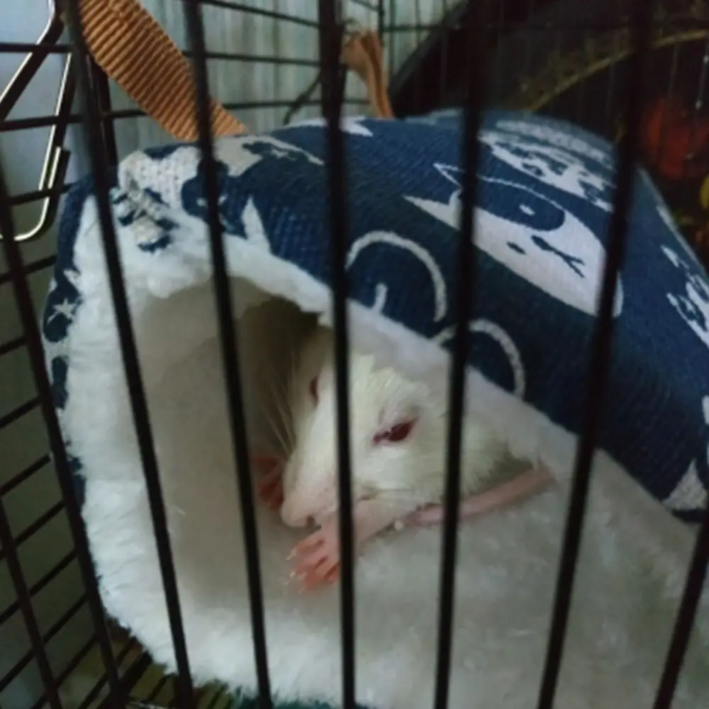 Теплая клетка для хомяка туннель хорька гамак игрушка подвесная кровать кролика