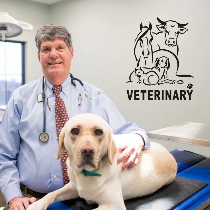 Собака Кошка ветеринарный Pet Shop наклейка плакаты виниловые настенные