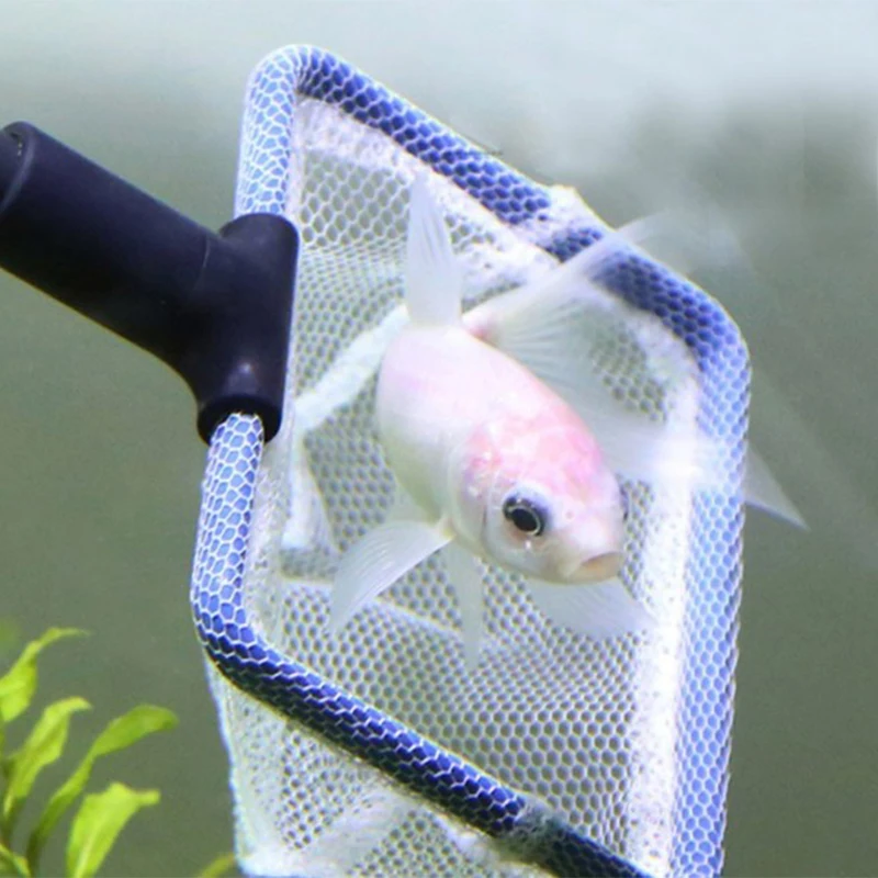 

5pcs Cleaning Tools Fish Tank Cleaning Long Handle Practical Cleaning Brush Aquarium Household Plastic Cleaning Kit New Arrivals