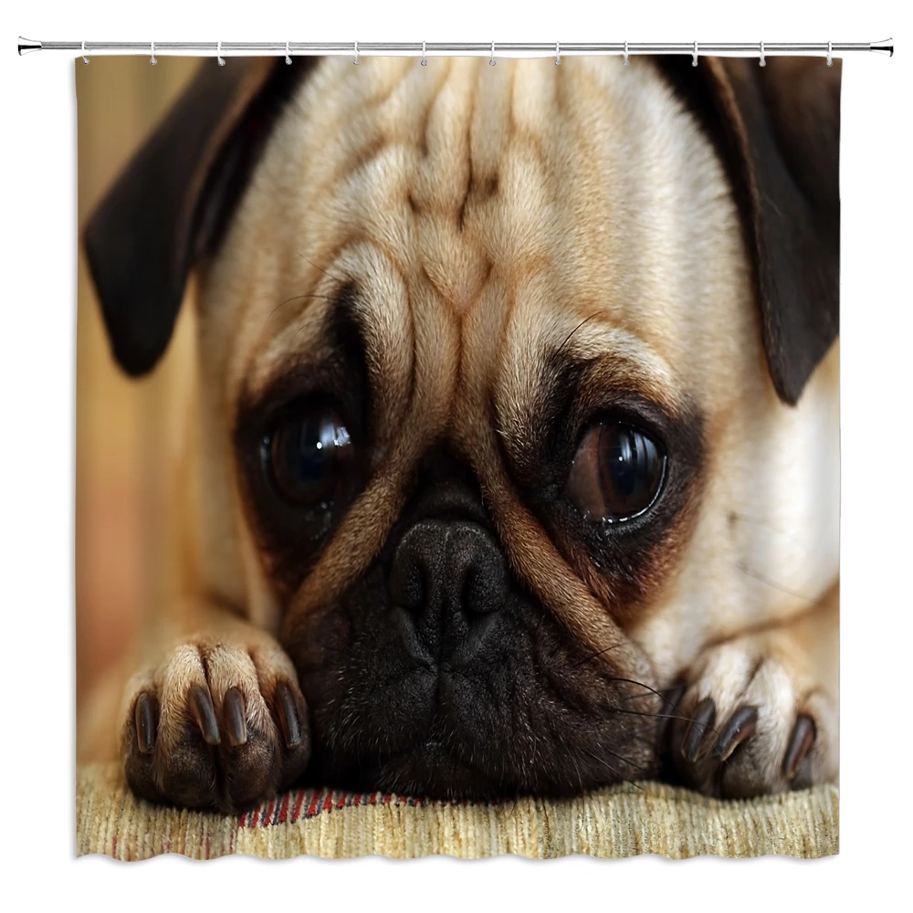 3d занавеска для душа с принтом в виде милой птицы бульдога|Шторы душа| |