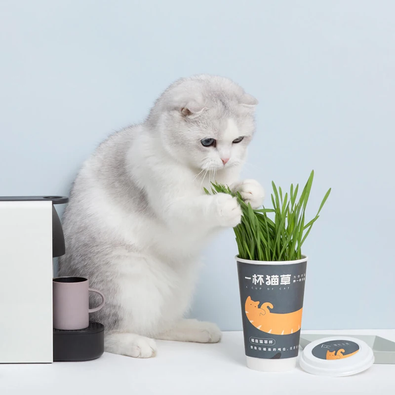 Xiaomi FURRYTAIL чашка CATNIP используемая для добавления кошачьей пищи чтобы