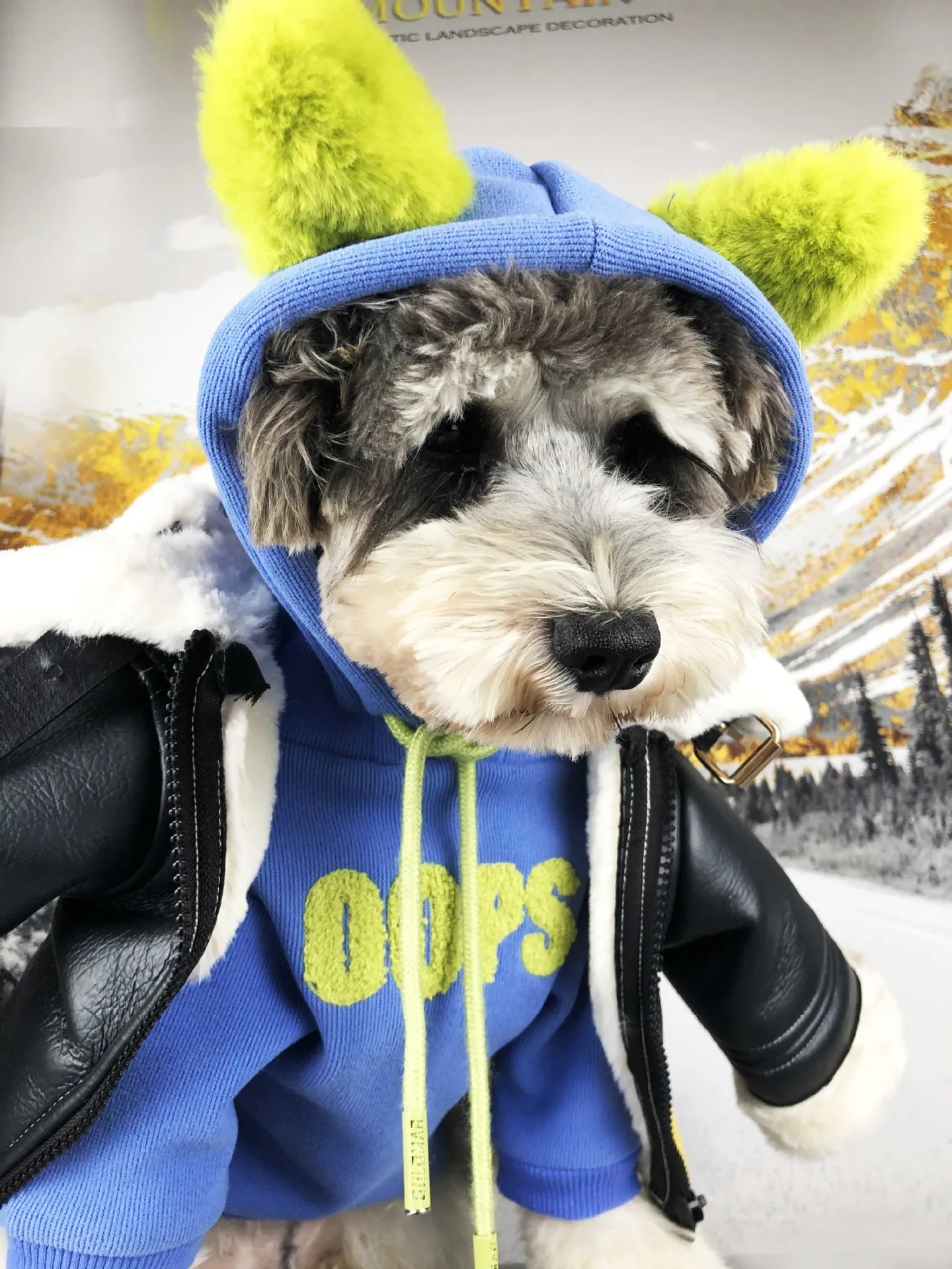 Флисовая Толстовка для собаки шнауцера Милая зимняя одежда Теплый Щенок