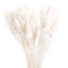 Натуральные сухие цветы Lagurus, белые Искусственные цветы, цветные искусственные кроличьи хвосты, букет из лисьего хвоста, длинные пучки-30