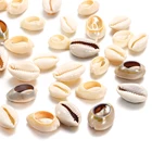 Ракушка для изготовления ювелирных изделий, 50 шт.лот