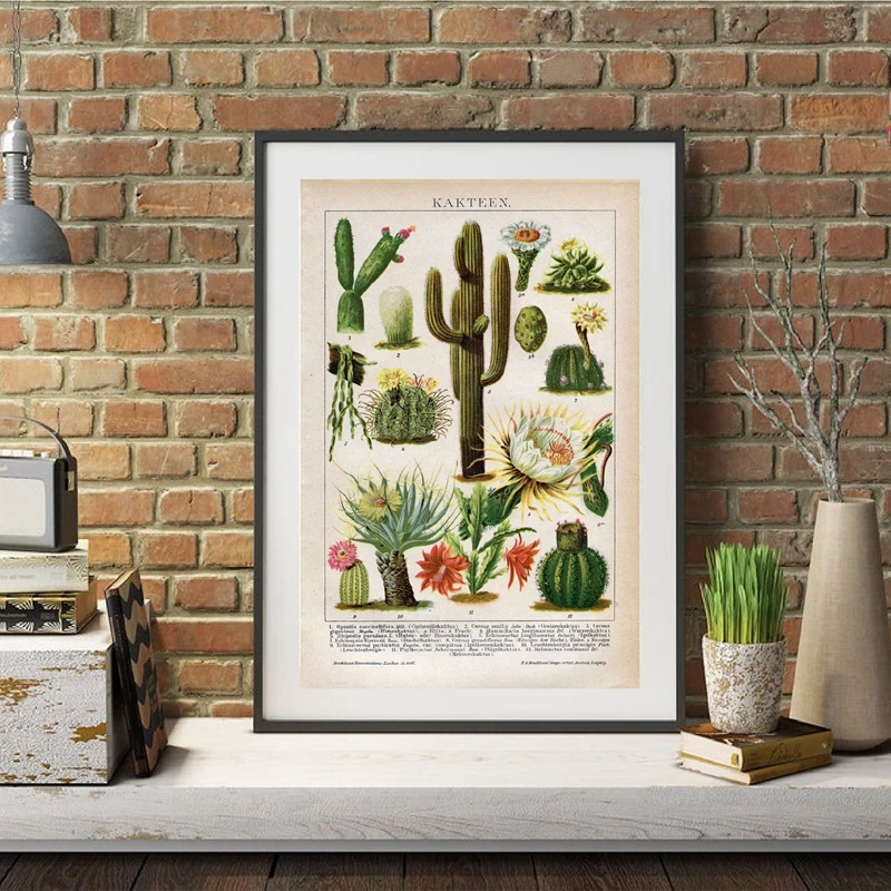 Cactus Flowers Desert Plants Succulents Posters and Prints Botanical Wall Art Canvas Painting Educational Pictures Decor |