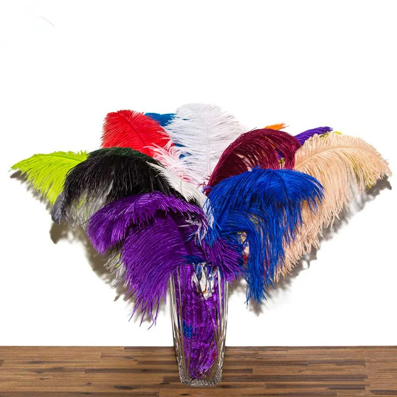 

10 ./ 15-70 /6-28 " Carnaval