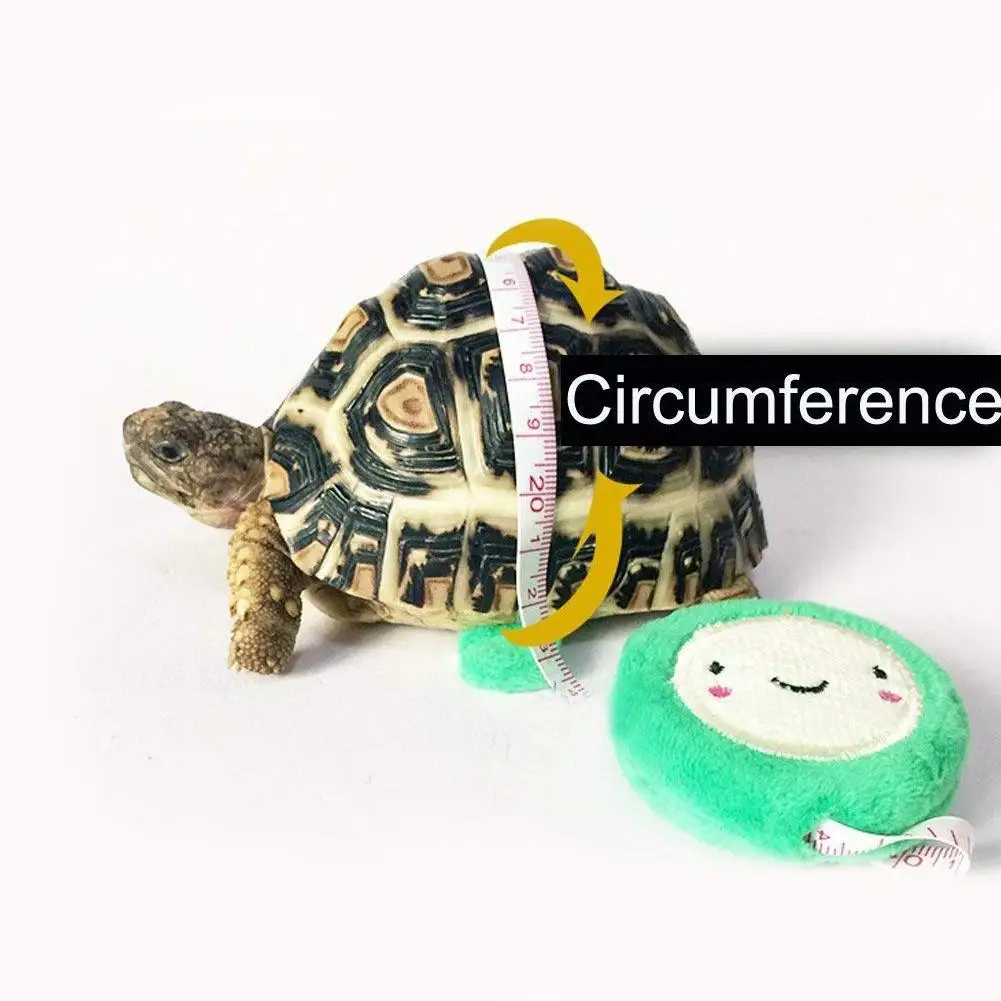 Поводок для маленьких домашних животных регулируемый поводок черепахи ящерицы