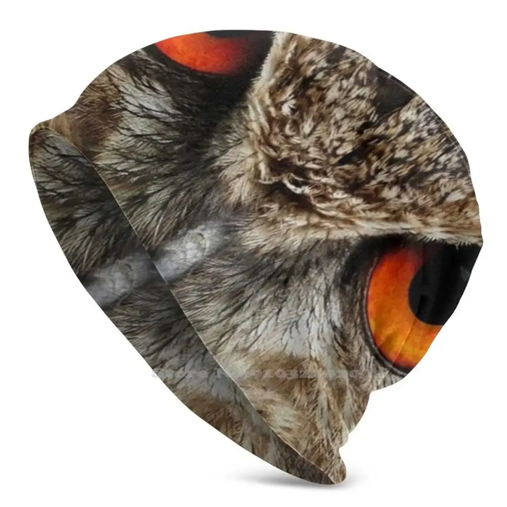 

Eagle Owl 3d Print Cap Fashion Outdoor Beanie Skullies Owl Bird Eyes Eagle Owl Birds View Animals Birds Of Prey Bird