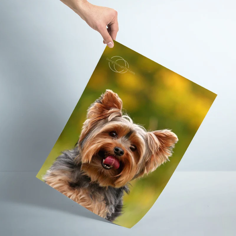 Настенный постер для домашних животных на заказ художественный декоративный