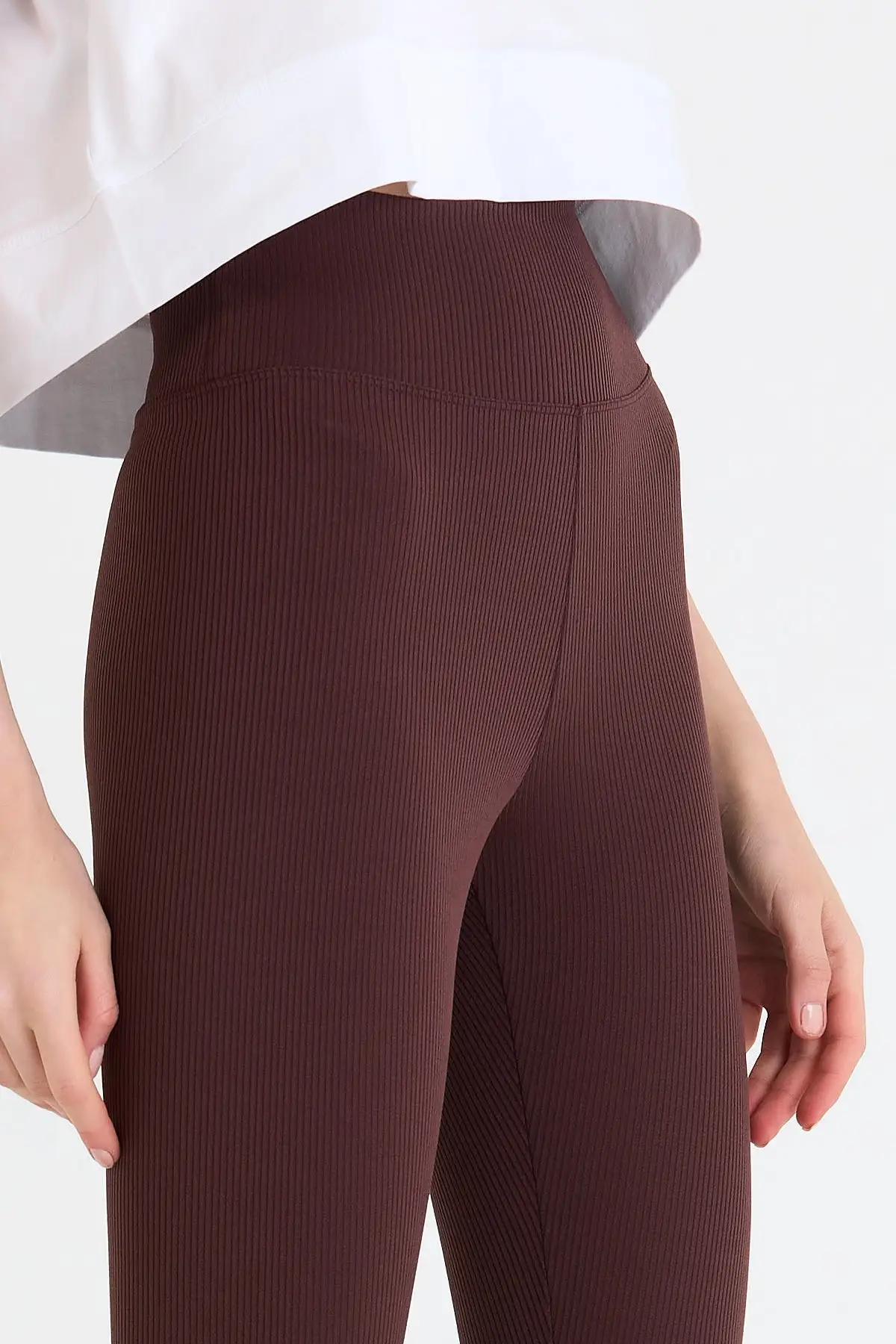 Women's Brown High Bel Ribbed Knit Leggings
