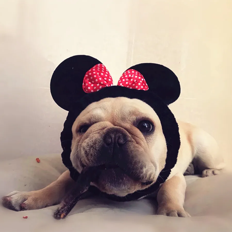 

Dog Personality Headgear Creative Funny French Bulldog Round Ear Ornaments Hat Cat Puppy Pet Elastic Head Cover Accessories