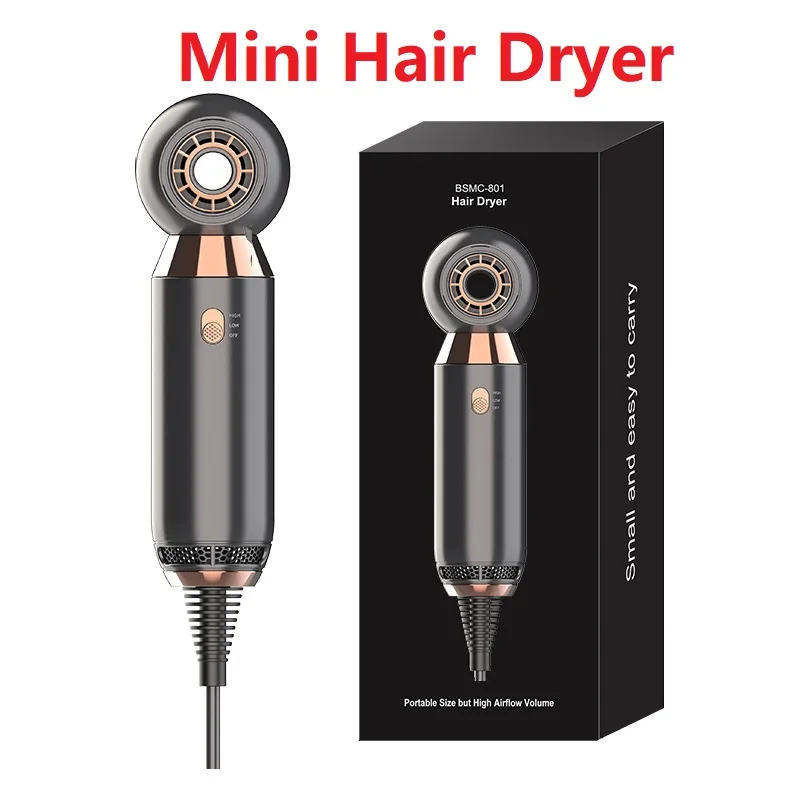 

800W Portable Mini Hair Dryer Ionic Blow Dryer Fast Drying Negative Ion Best Professional Brush Hairdryer Machine For Travel