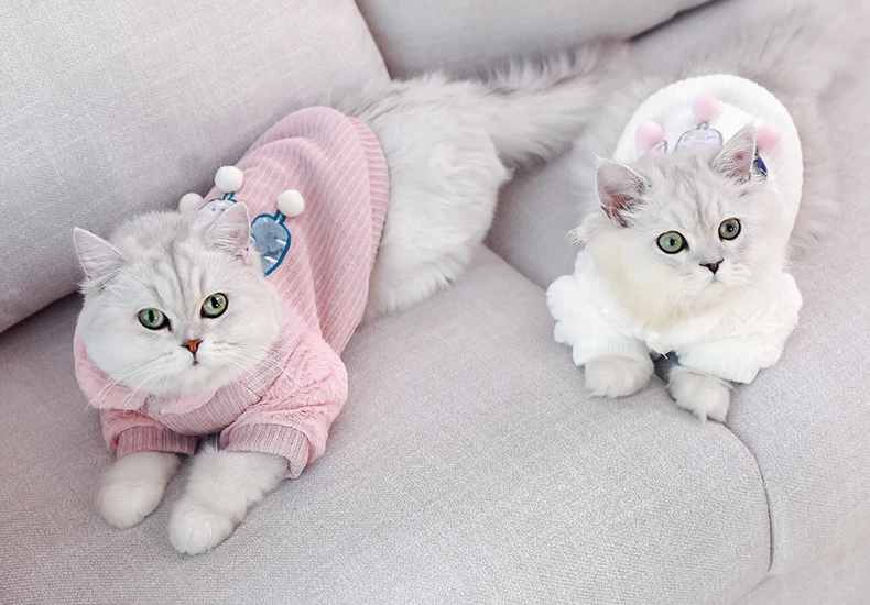 Новый модный костюм для питомца кота летняя жилетка с капюшоном удобные плащи