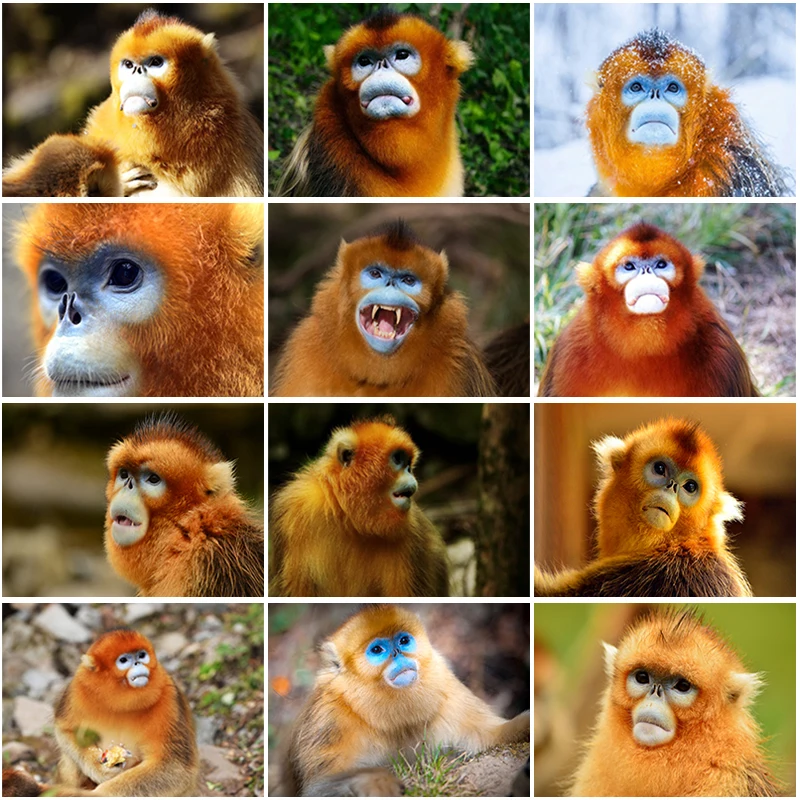 

DIY 5D Diamond Painting Full Round Square Resin Mosaic Diamonte Embroidery Cross Stitch Kits Wall Art Handcraft Art Huichol