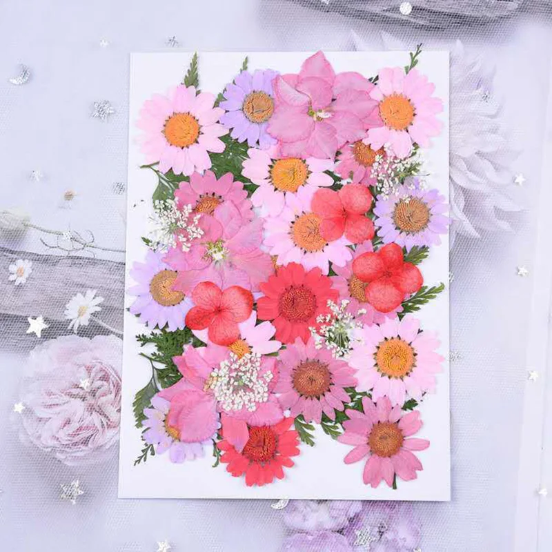 

Hot Dried Pressed Flowers Combination for Resin Art Craft DIY Art Floral Decors Collection Gift D6