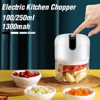 250ml electric garlic masher garlic press vegetable chili meat garlic chopper press usb masher machine kitchen gadgets