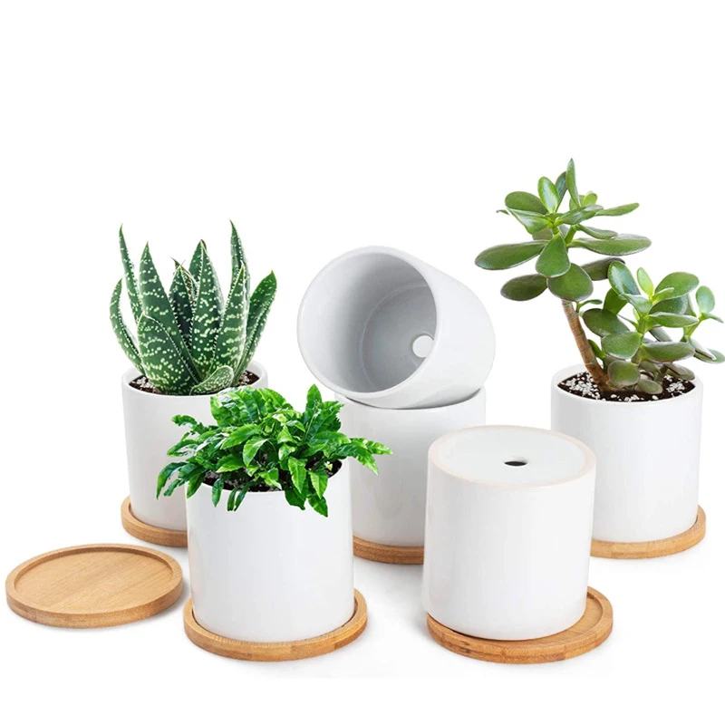 

Succulent Plant Pot Simple Nordic Style With Bamboo Bottom Tray Cylindrical Flower Trough Container Creative Personality Pot