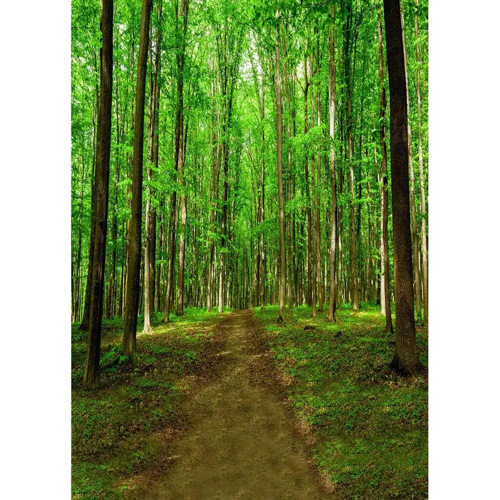 

Grove Trees Pathway Photography Backgrounds Customized Fond Backdrops for Portrait Children Baby Pets Photocall Photo Studio