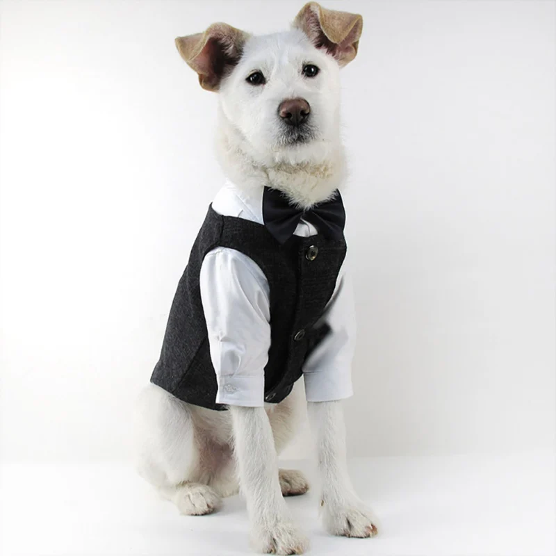 Костюм для собак Pet Dog Costume Gentleman Suit Formal Coat/Vest Party Wedding Coat Jacket Clothes For Dogs Cat Tuxedo Clothing on.