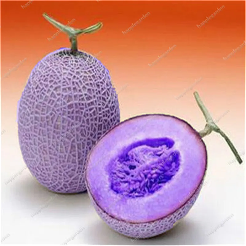 Мускусная Дыня 100 шт |