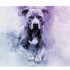 5D DIY Алмазная вышивка распродажа собак, алмазная живопись животных Рождество, полная Алмазная мозаика картины Стразы