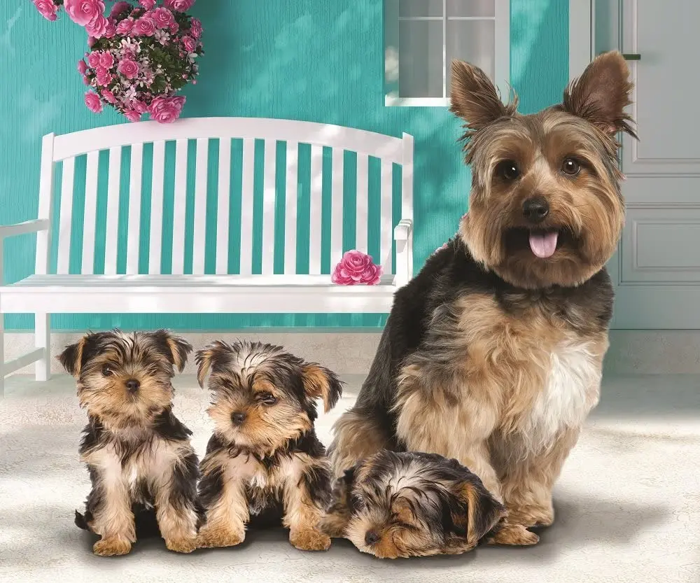 

Флисовое одеяло Yorkie and щенки