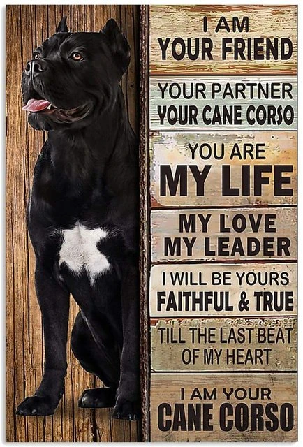 С собакой в стиле ретро Pet Meatl знак золотой ретривер бордер колли Бигль домашний