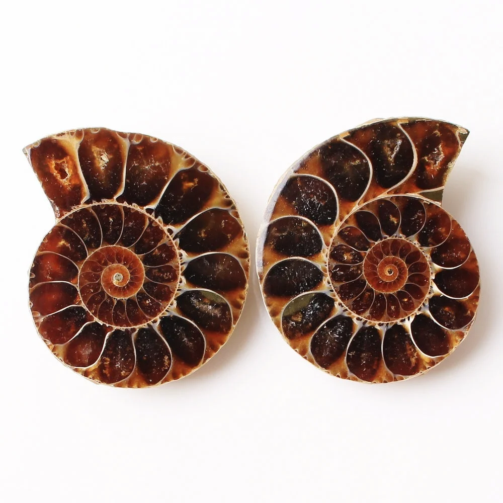 2 шт. подвеска в виде скорлупы|Камни| |