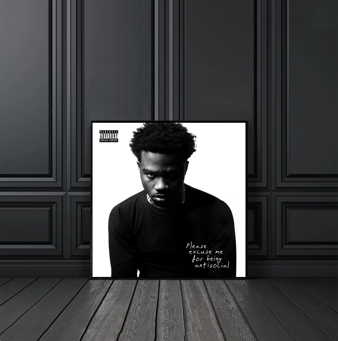 Пожалуйста, прошу прощения за то, что я антисомневаюсь в качестве альбома, плаката, печати на холсте, в стиле рэп, хип-хоп, музыка, звезда, певица, дома