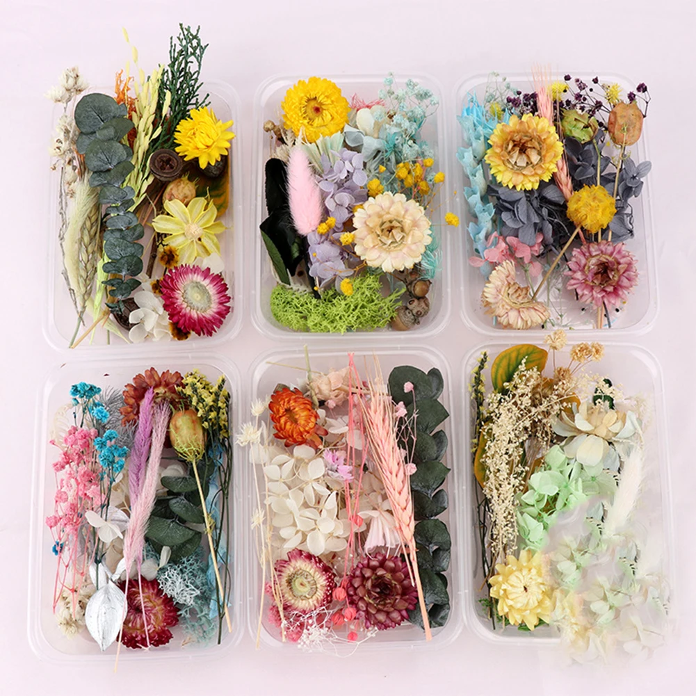 

Real Pressed Flower Mixed Dried Flower DIY Art Floral Decor Art Nail Pendant Craft Flower StockArtificial & Dried Flowers Artif