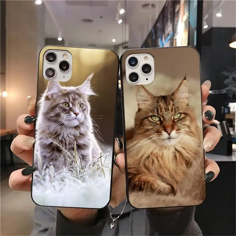

pet maine coon cat Phone Case for iphone 12 pro max mini 11 pro XS MAX 8 7 6 6S Plus X 5S SE 2020 XR case