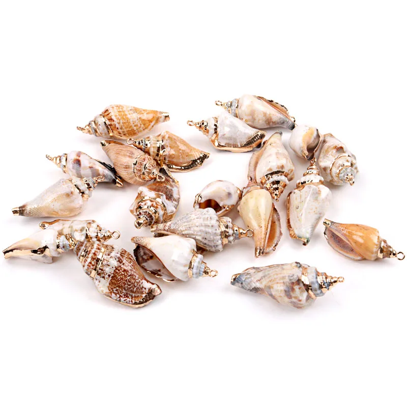 5 шт. спиральные ракушки для украшения дома|Ракушки и морские звезды| |