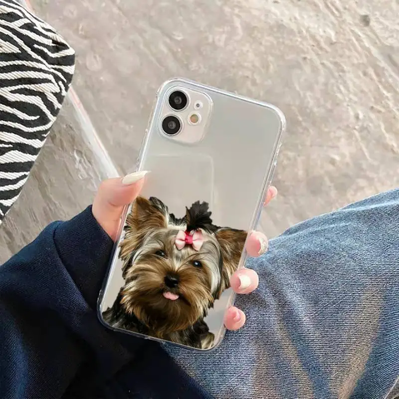 

Yorkshire terrier dog Newest Phone Cases Transparent Clear for iPhone 11 12 mini pro XS MAX 7 8 6 6S Plus X 5S SE 2020 XR