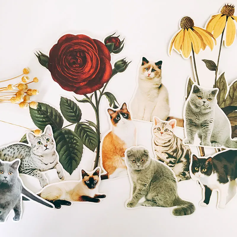 13 шт. DIY милый кот Стикеры дневник фотоальбом для ноутбука/Кот s бумага