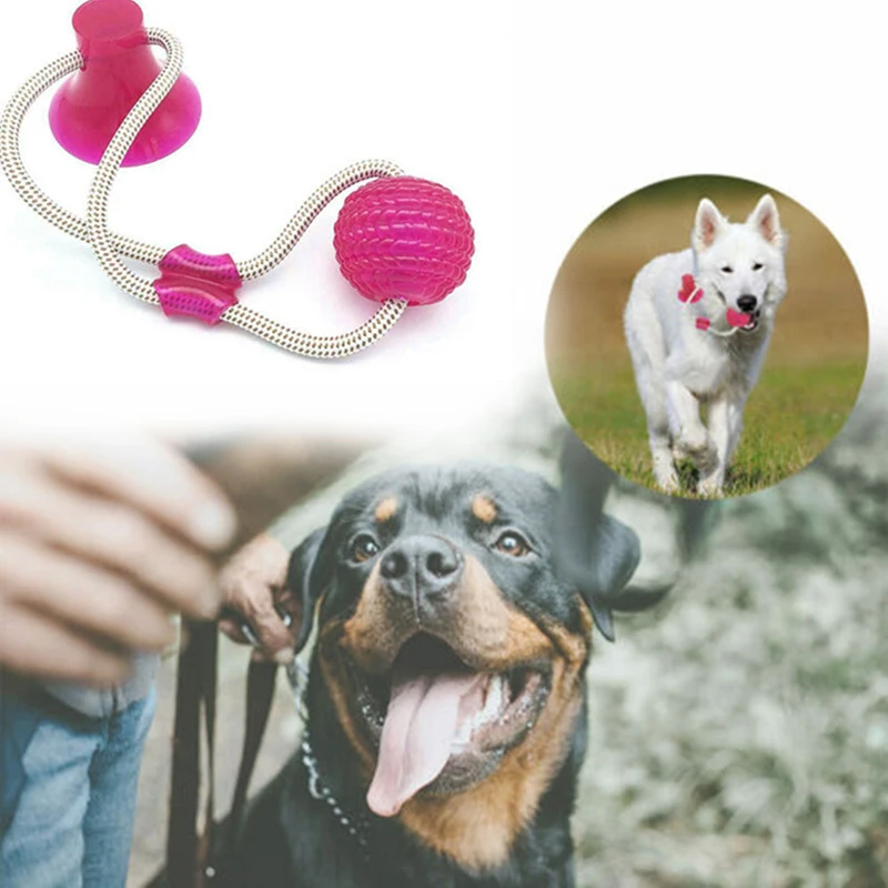 Игрушки для домашних животных с присоской игрушка собак мячом из